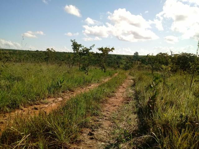 Fazendinha 30.000 mil m2, ótima localização em Três Marias.