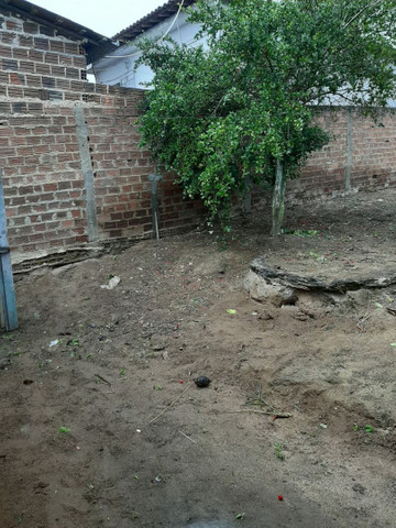 Vendo casa em Jupi, com terreno na parte de atrás. - Foto 14