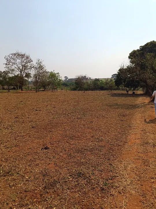 Chácara Arco Íris em Araçatuba-SP- terreno de 5000 m² - Oportunidade - Foto 7