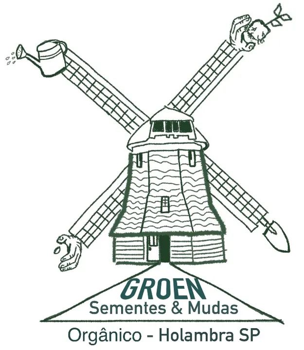 Morango Europeu - Foto 3