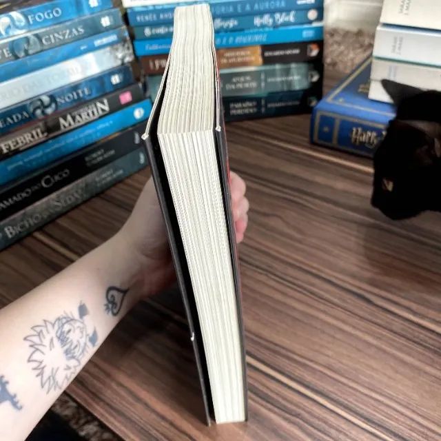 Livro A Melodia Feroz - Foto 2