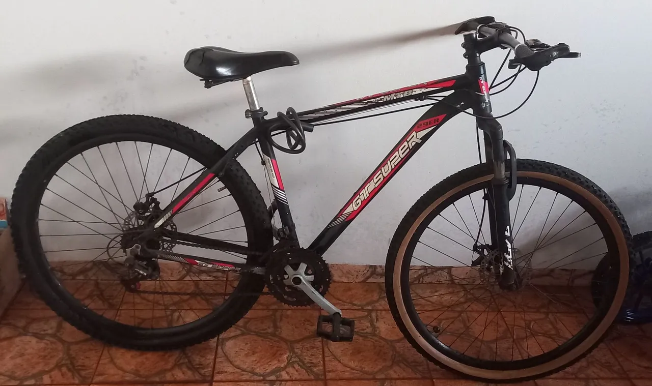 Bicicleta aro 29