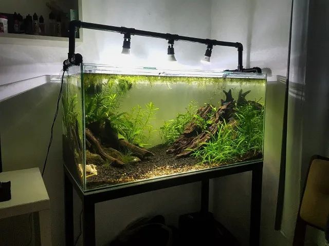 VENDO AQUÁRIO 250 LITROS COMPLETO + MÓVEL DE METALON - Foto 2