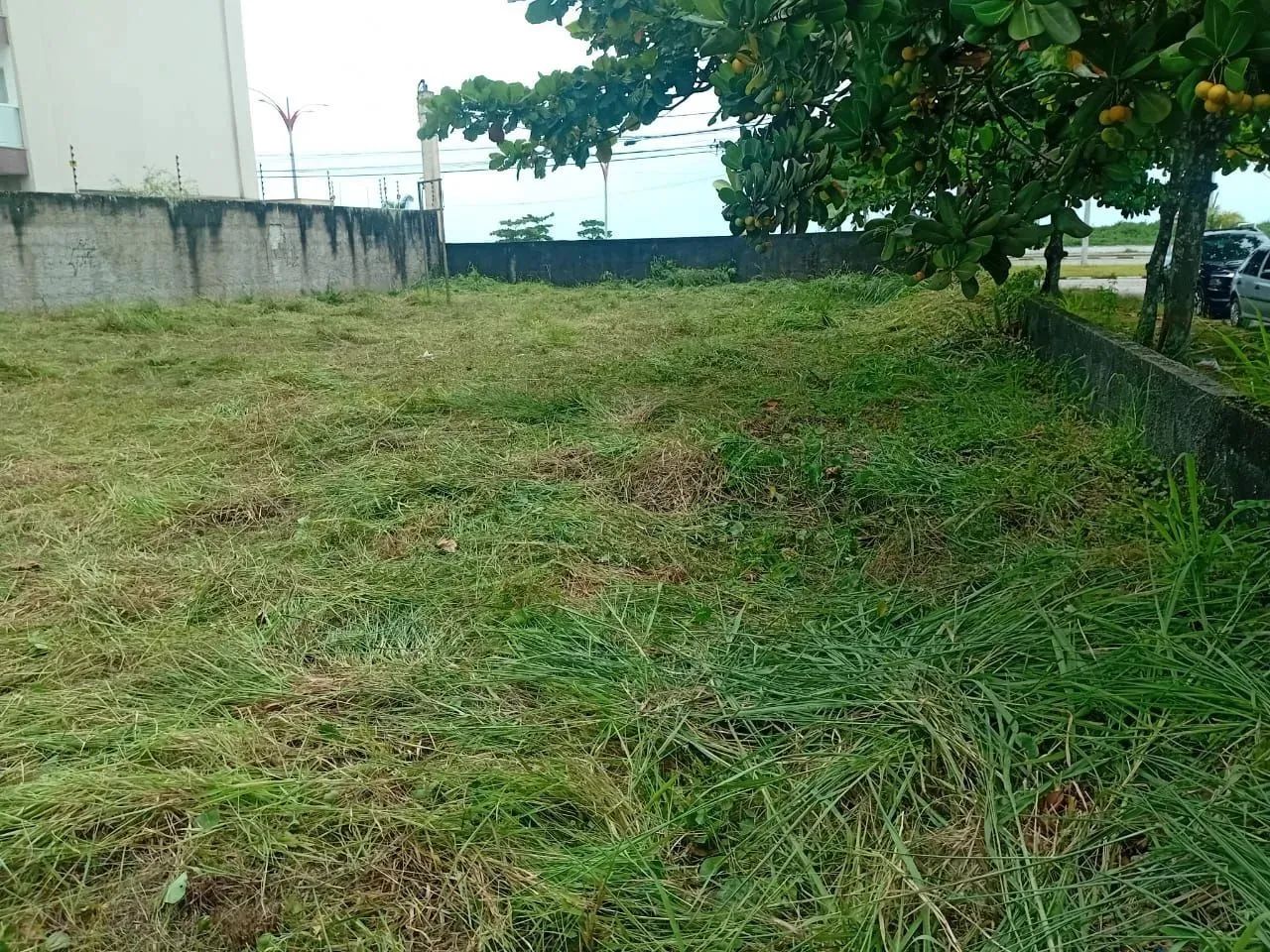 Terreno locação - Foto 2
