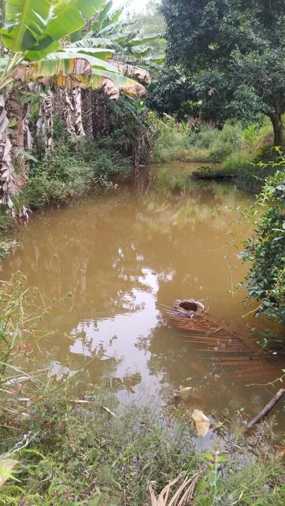 Oportunidade Única  Sítio 40.000m² entre Santa Teresa e Sta Maria Jetibá ES - Foto 14