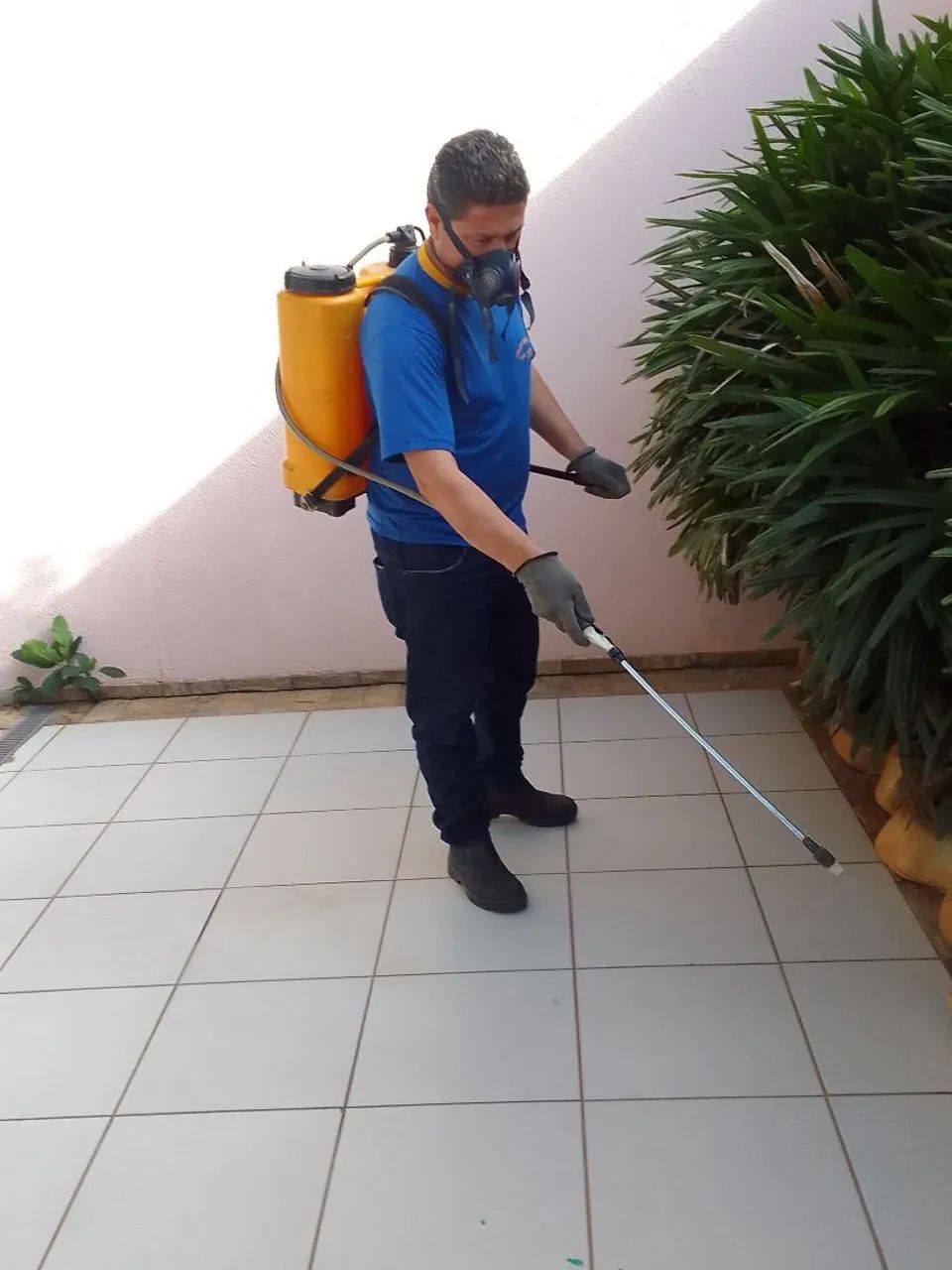 Dedetizadora controle pragas Sorocaba SP. - Foto 5