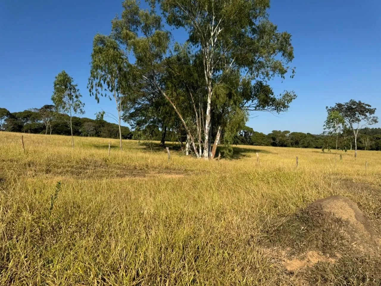 Terreno rural  - Foto 3