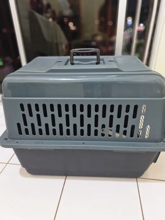 Caixa Transporte Pet - Foto 3