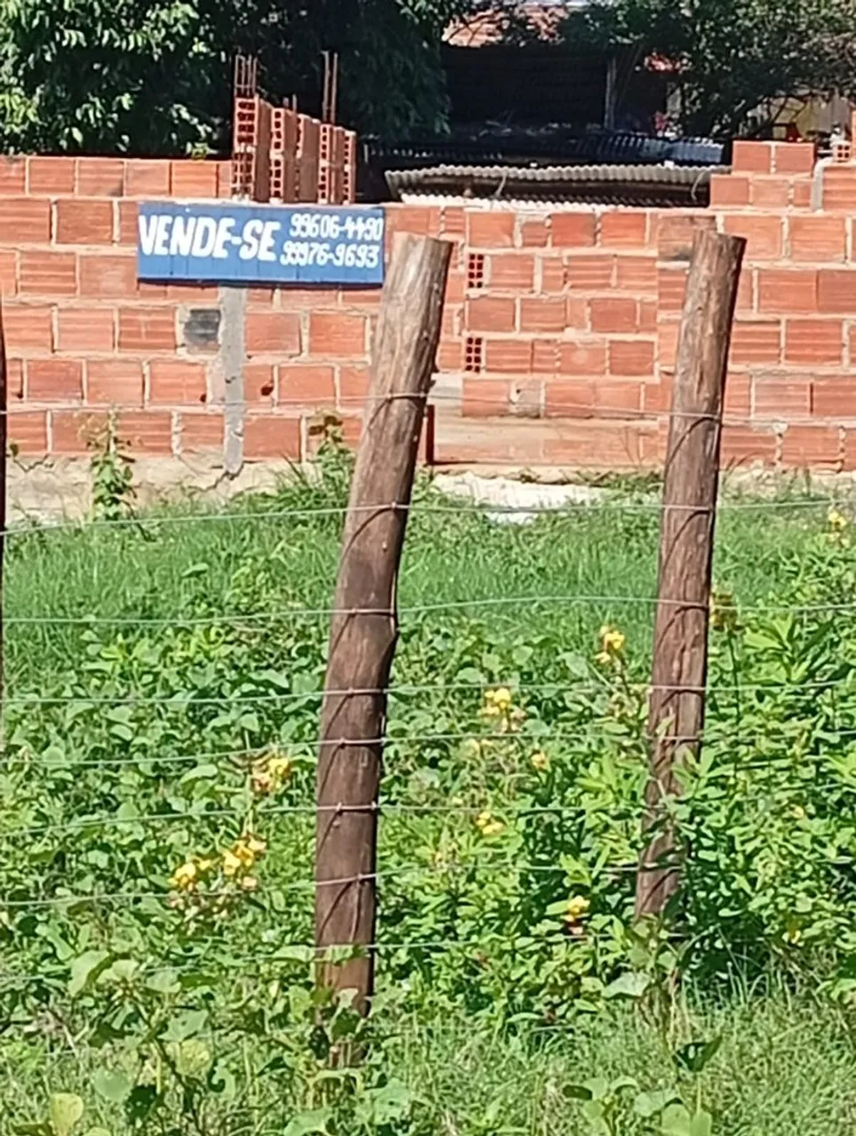 Terreno