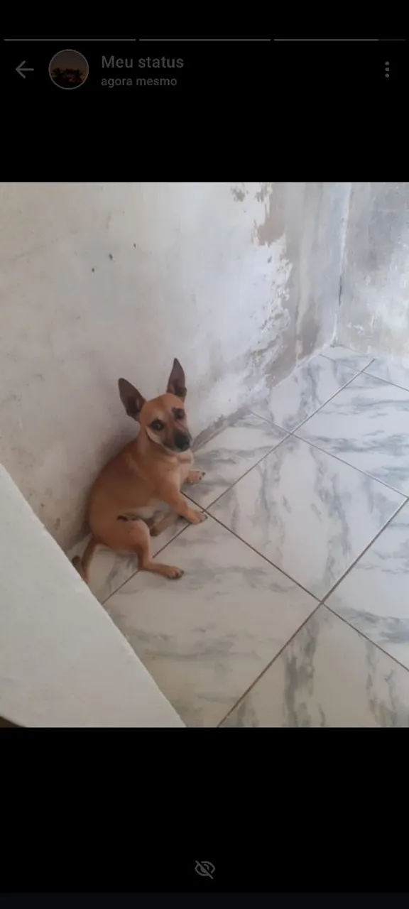 DOAÇÃO