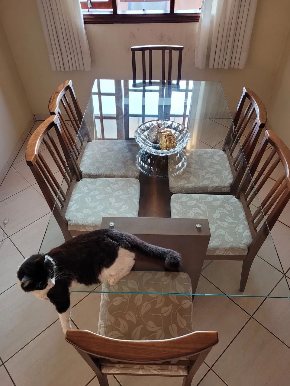 Mesa de Jantar de Madeira Maciça com Tampo de de Vidro - 6 Cadeiras