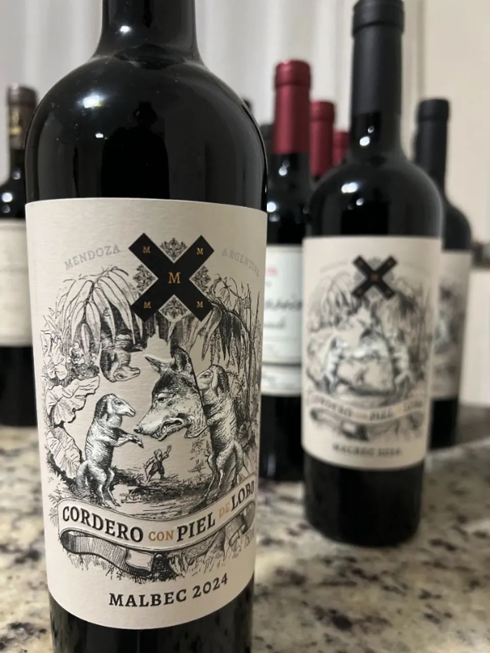 Vinhos Argentinos preço bom - Foto 3