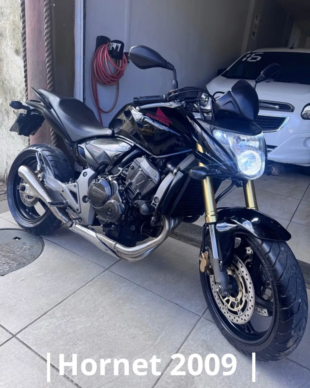 Hornet 600