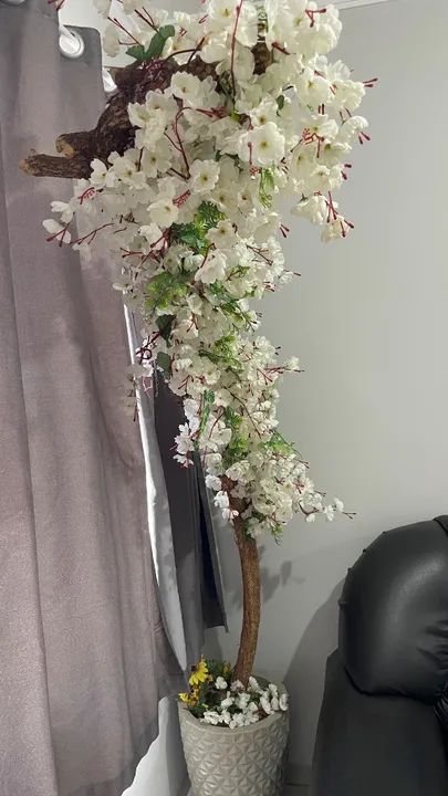 Cerejeira Branca  - Foto 2