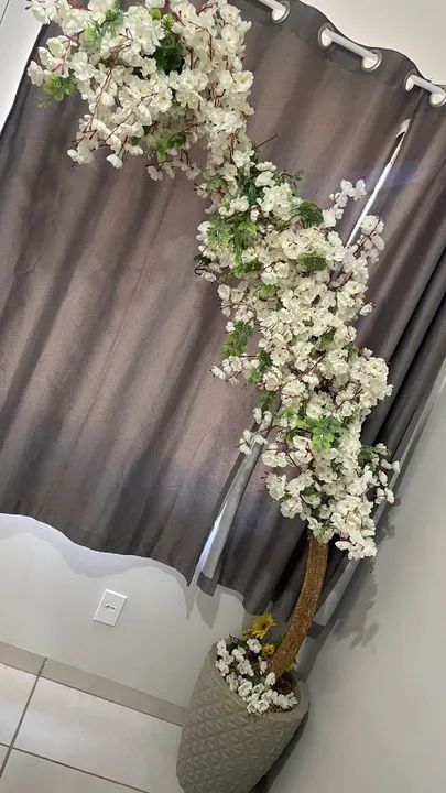 Cerejeira Branca  - Foto 4