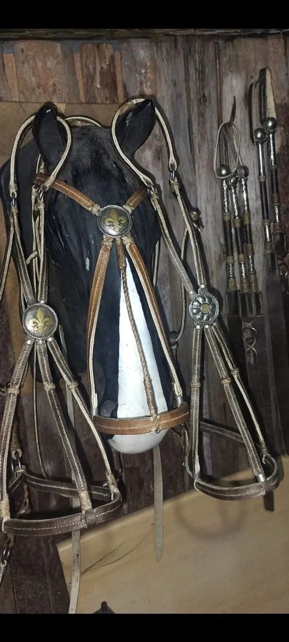 Buçal com florão de alpaca  - Foto 2
