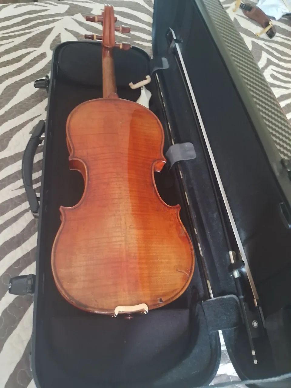 Violino 4x4  - Foto 2
