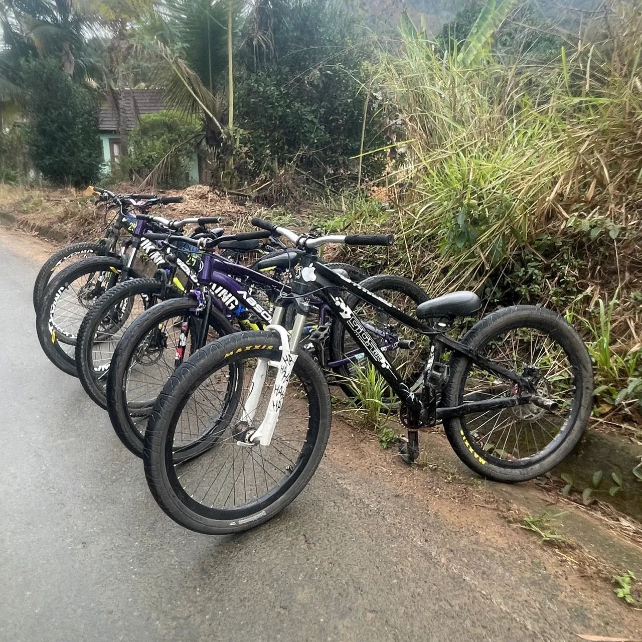 Gios 