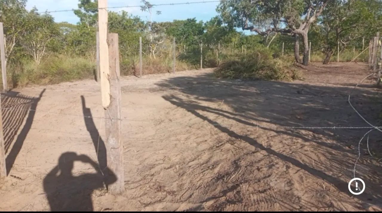Vendo terrenho em alter do chao - Foto 5
