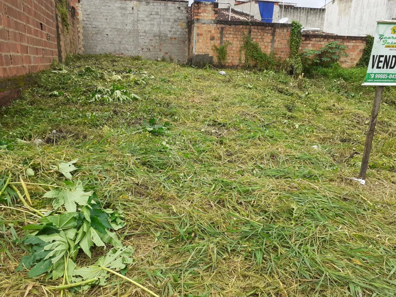 5 Lotes Estância/SE ,Perto do Magistral - Foto 3