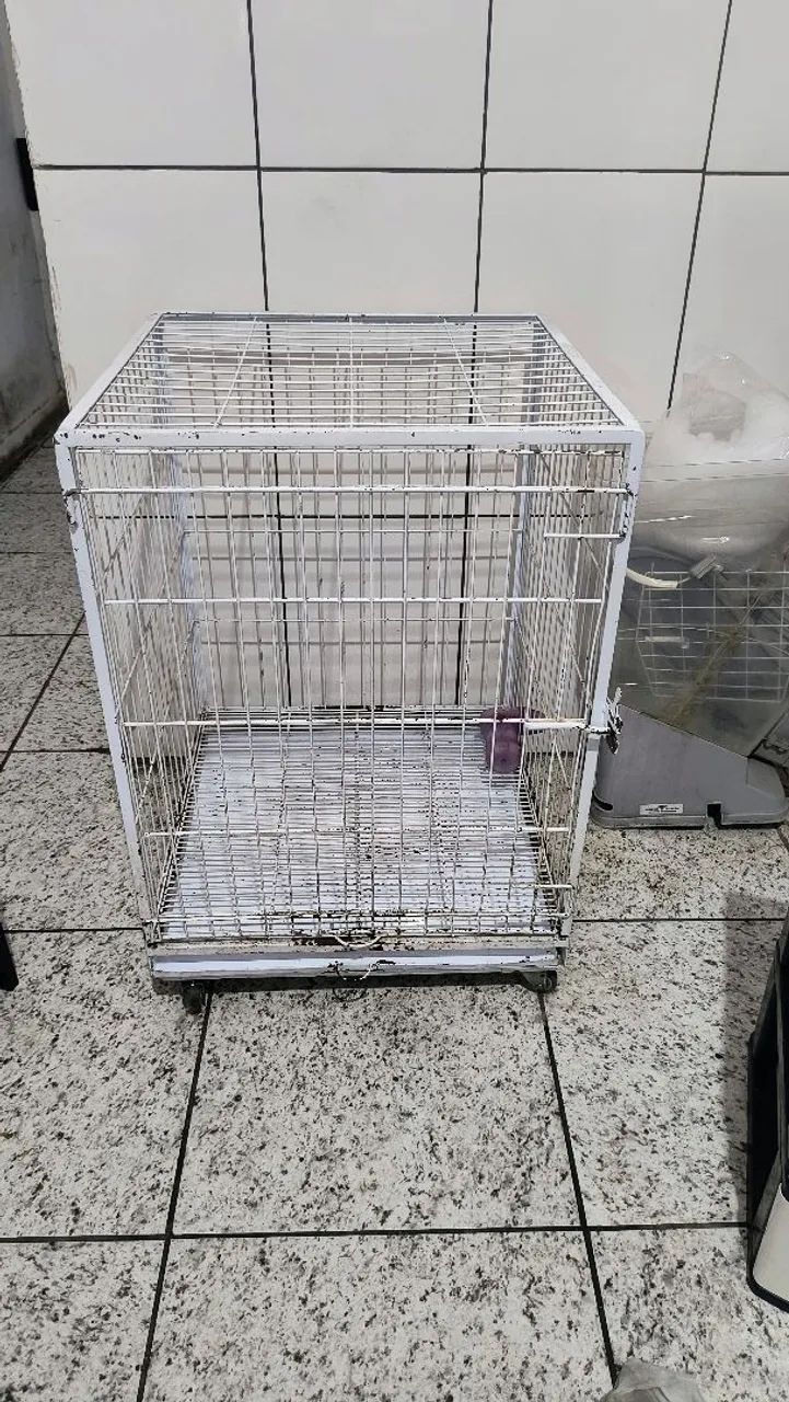 Canil para petshop 