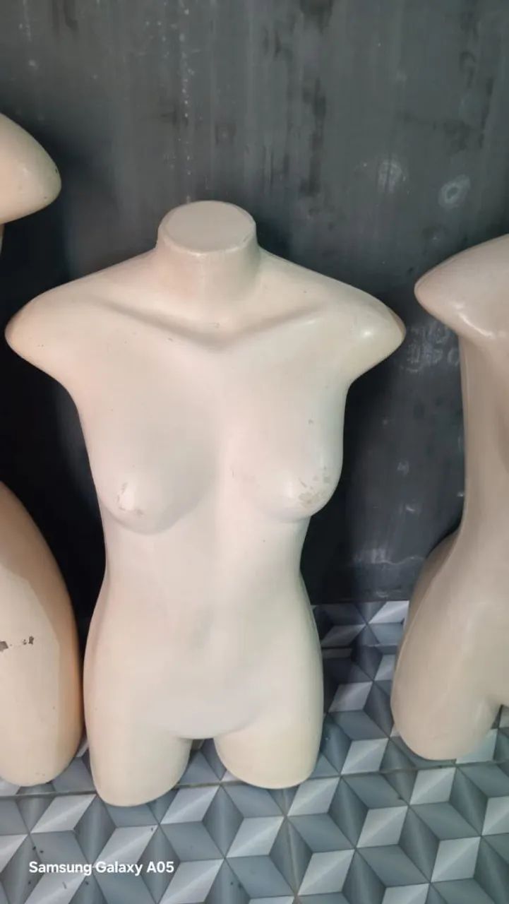 Vendo esses manequins 