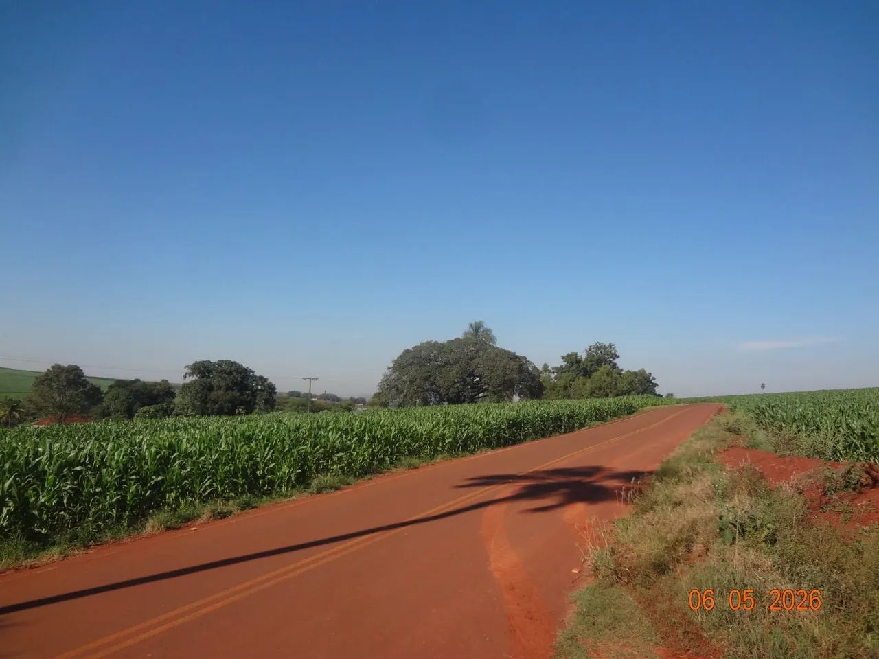 Sitio com 11 alqueires.