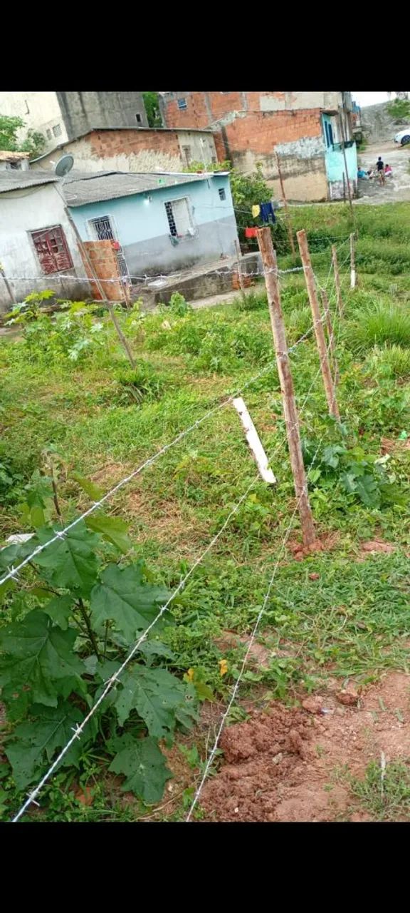 Vendo terreno no alto da jaqueira 