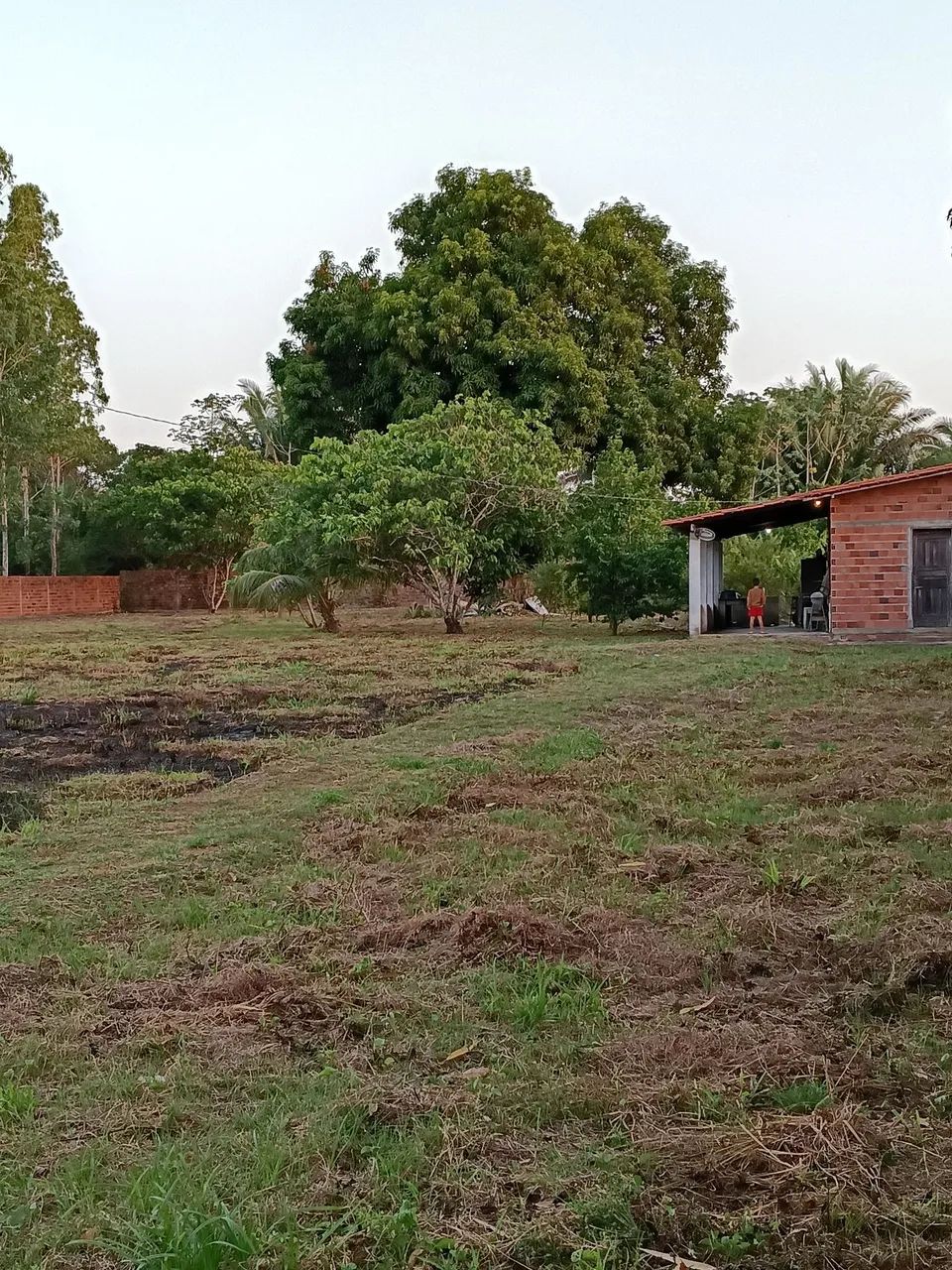 Vendo Sítio em Bacabeira - Foto 3