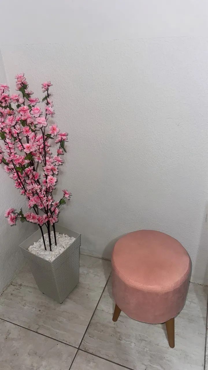 Puff e planta de decoração 