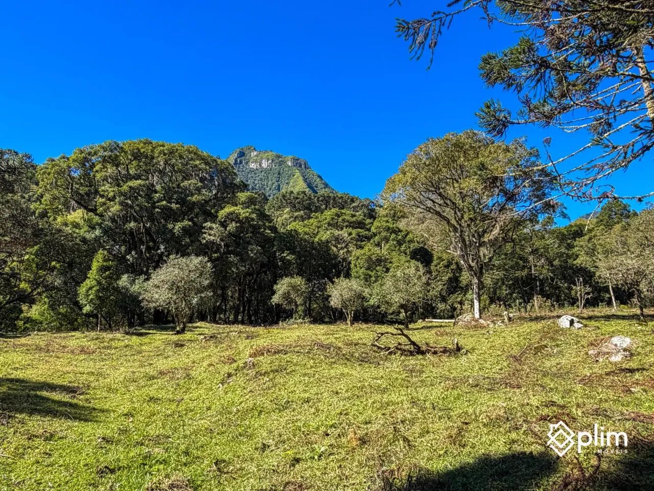Sítio de 10 hectares com RIO na Pedra Branca  Alfredo Wagner, SC - Foto 4