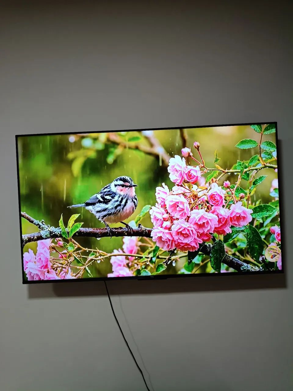 TV TCL 55 polegadas led uhd 4k tcl 55p635