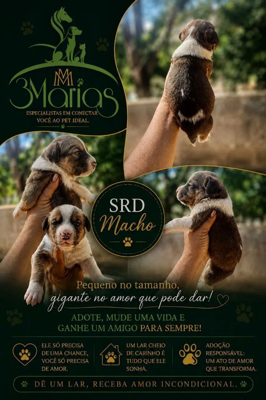 Lindos bbs SRD.