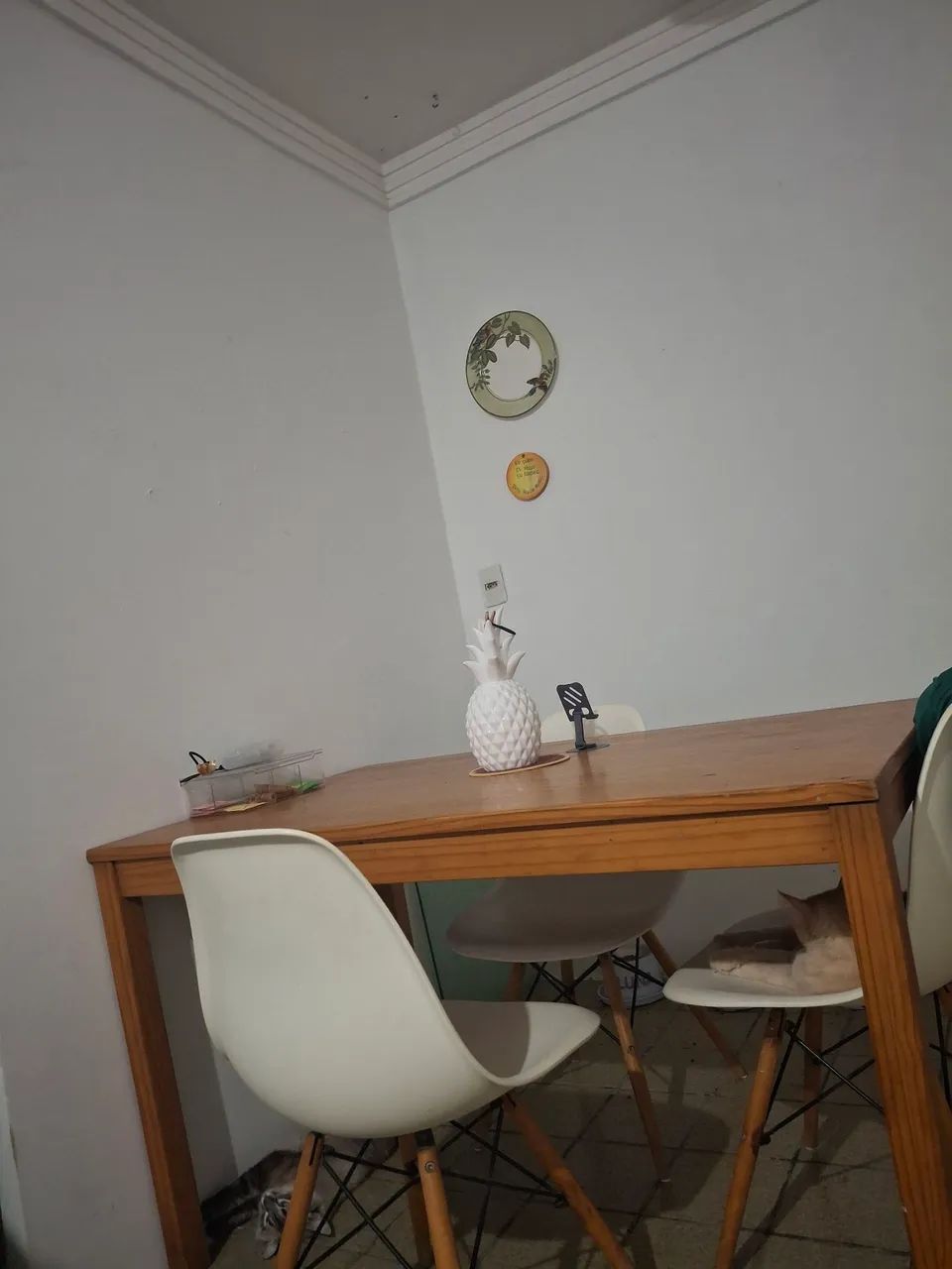 Mesa jantar madeira com cadeiras 
