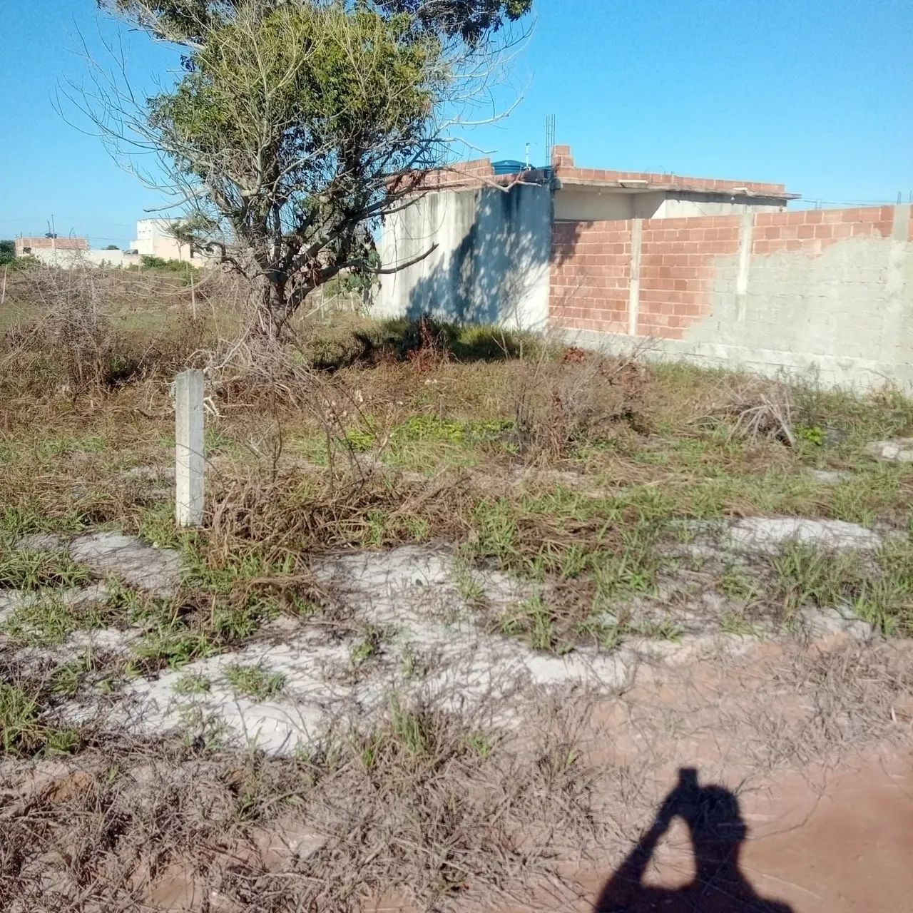 Vendo terreno em Maroba - Foto 2