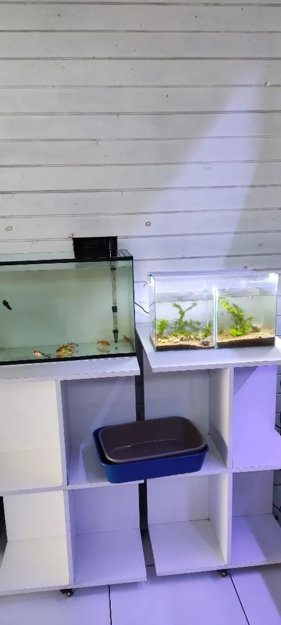 Vendo loja de aquarismo e agropet - Foto 3