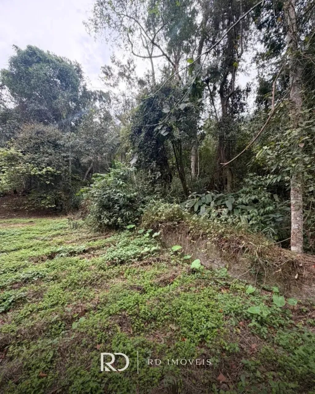 TERRENO EM ARARAS - PETROPOLIS - Foto 3
