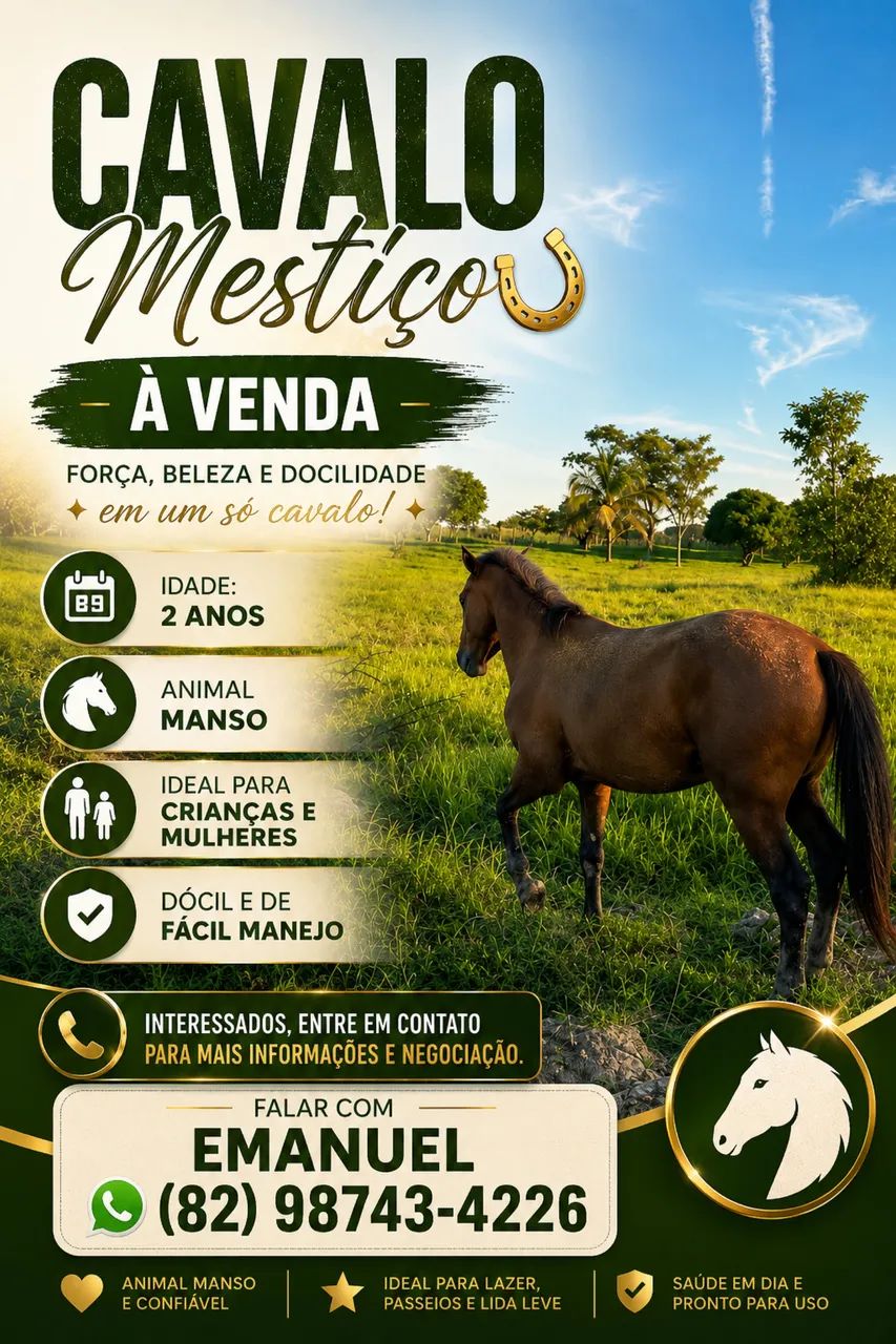 Cavalo mestiço 