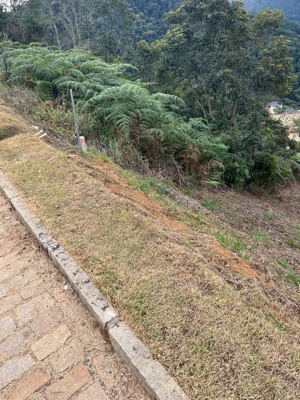 BELO TERRENO - COND VALE DAS ESTRELAS - TERESOPOLIS - Foto 5