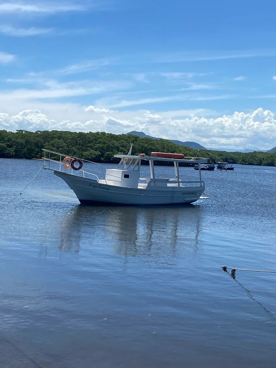 Barco de passeio - Foto 7
