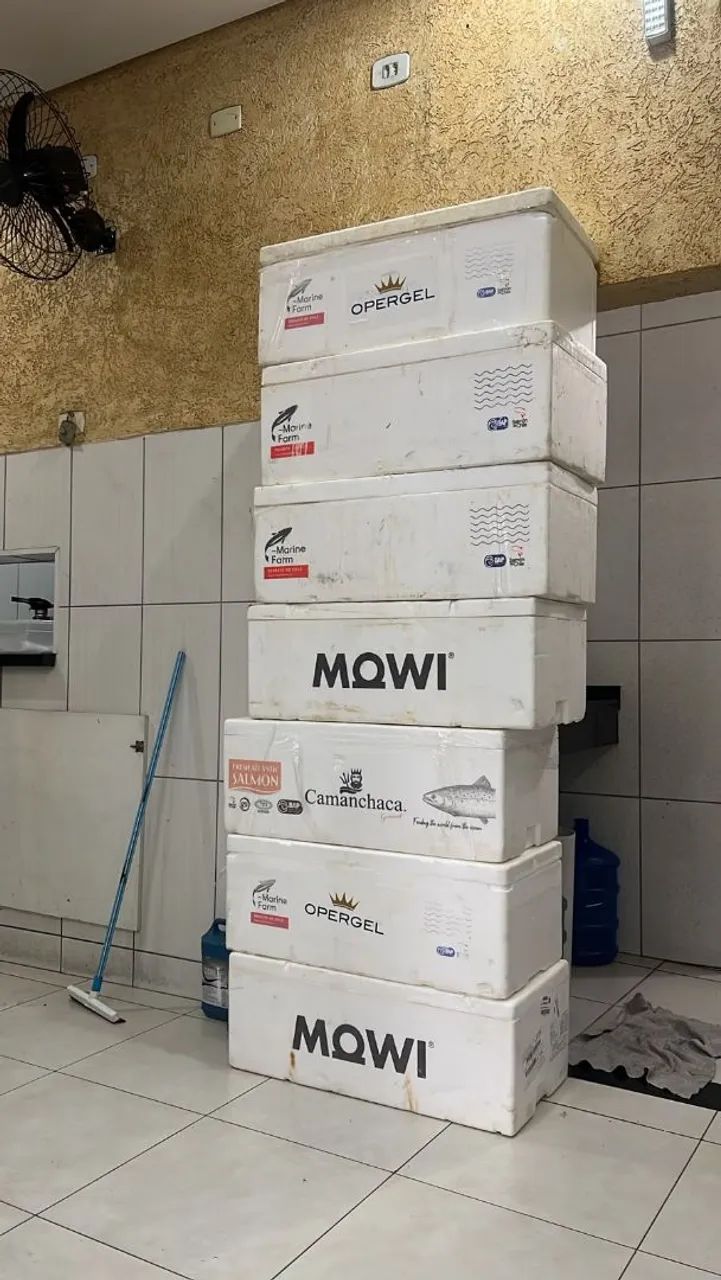 Caixa de salmão vazia 