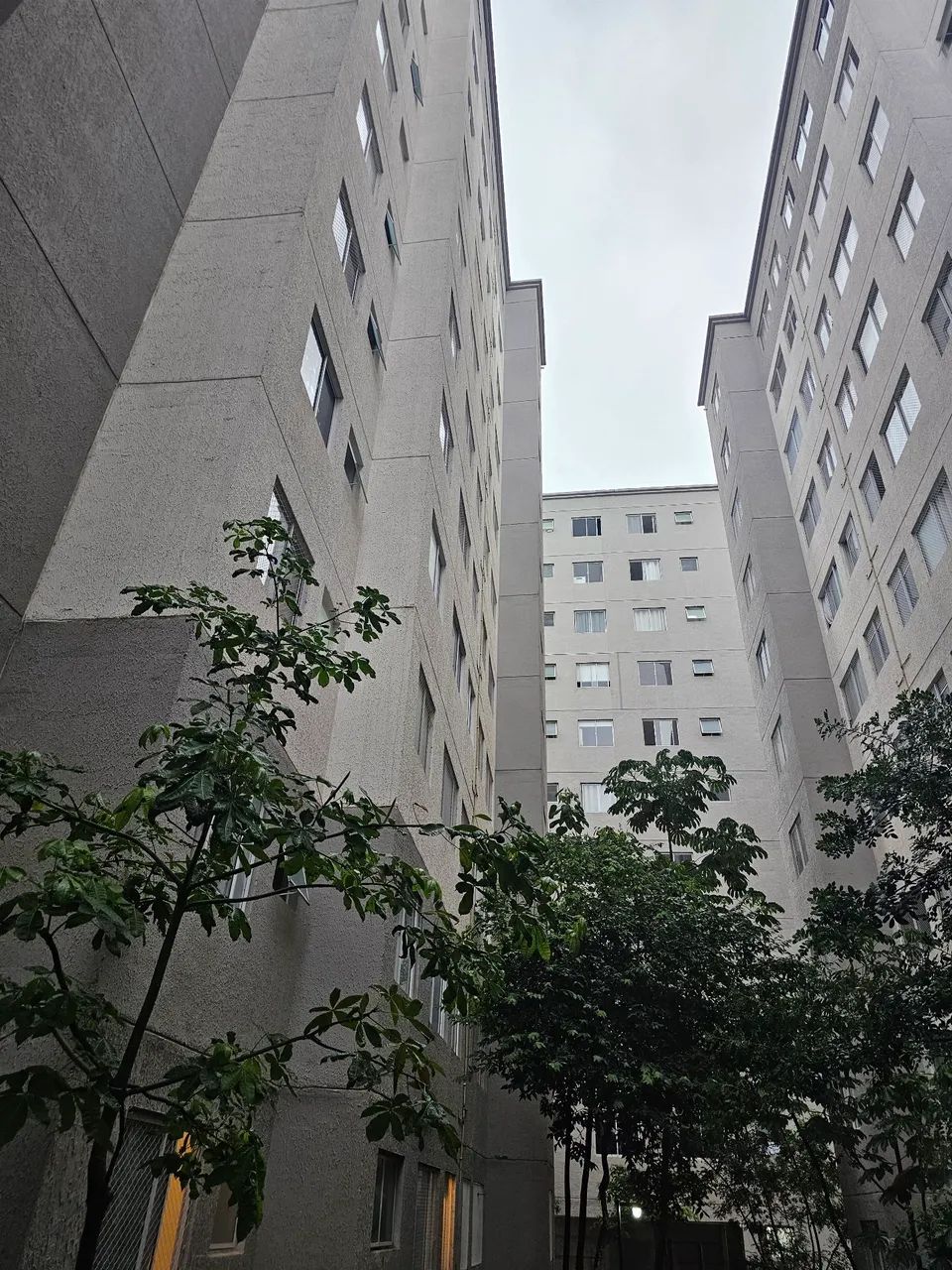 Foto - São Paulo - Jardim do Lago