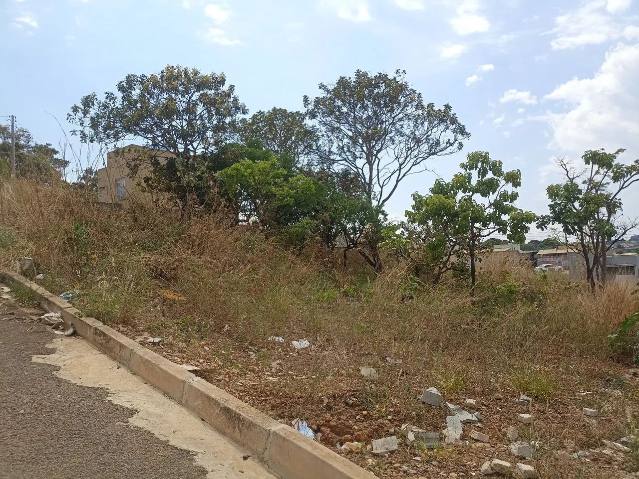 Lotes no Parque Alvorada I