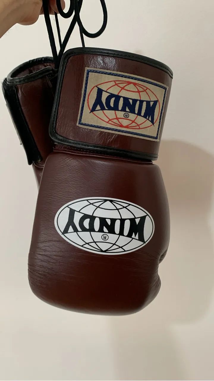 Luvas de Boxe Windy 16oz