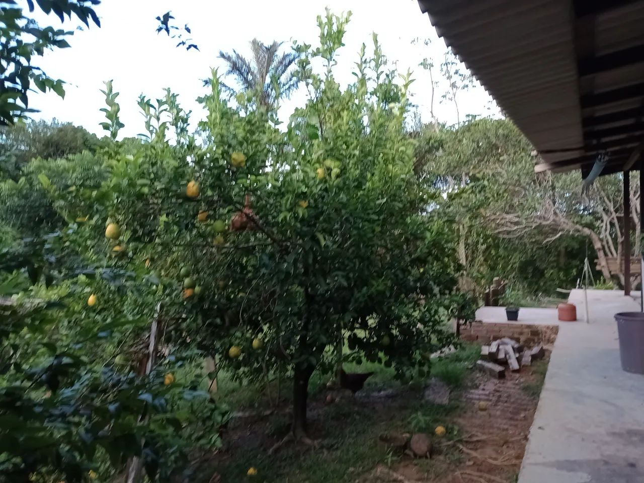 Oportunidade - Vendo Casa em Chácara  - Foto 2