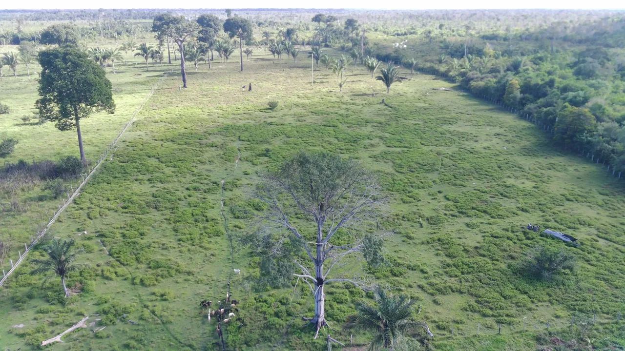 Fazenda no Rio Ituxi - Foto 3
