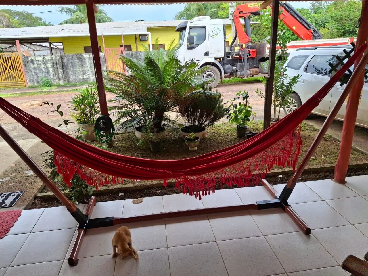 Suporte para redes - Foto 2