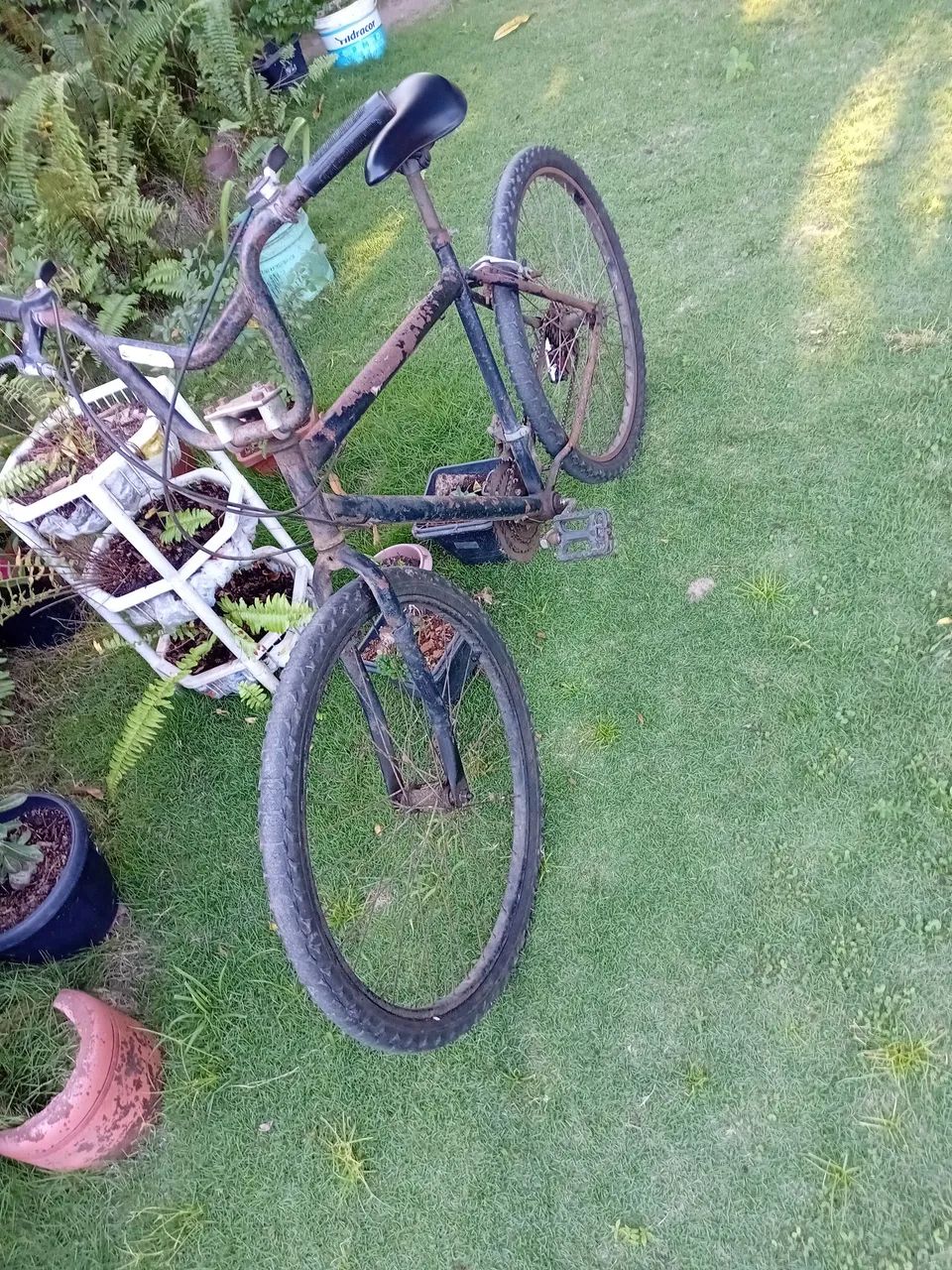 Bicicleta  - Foto 2