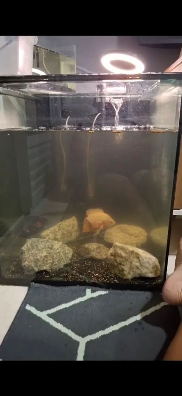 Vendo aquário 