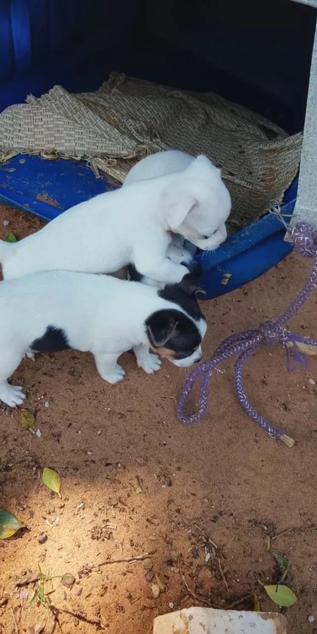 Vendo  - Foto 2